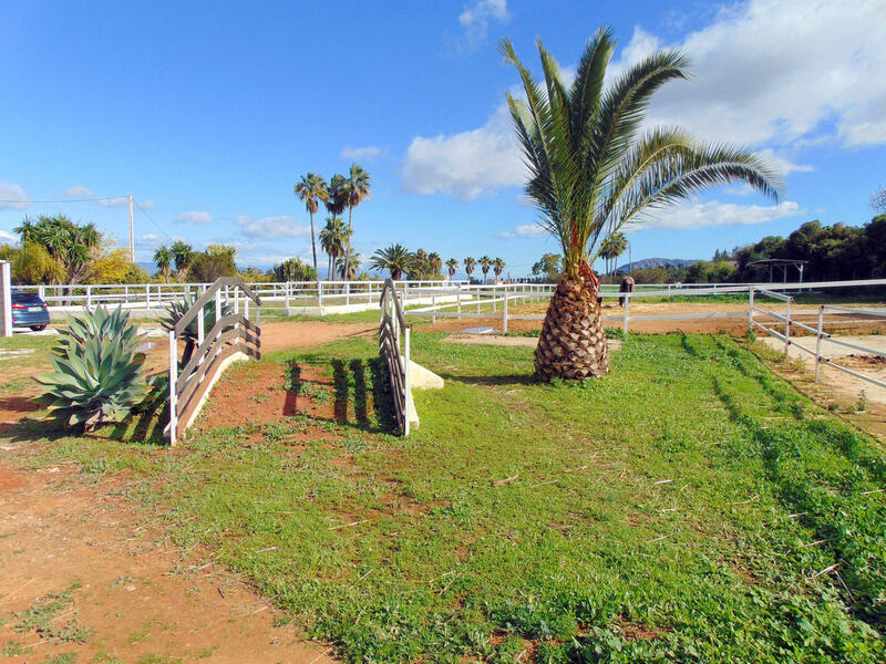 5 Cuarto Casa de Campo en venta