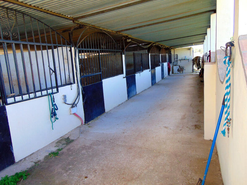 5 Cuarto Casa de Campo en venta