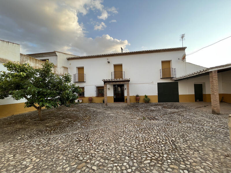 6 Cuarto Local Comercial en venta