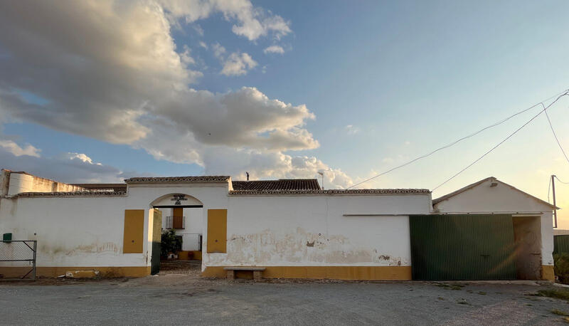 6 Cuarto Local Comercial en venta