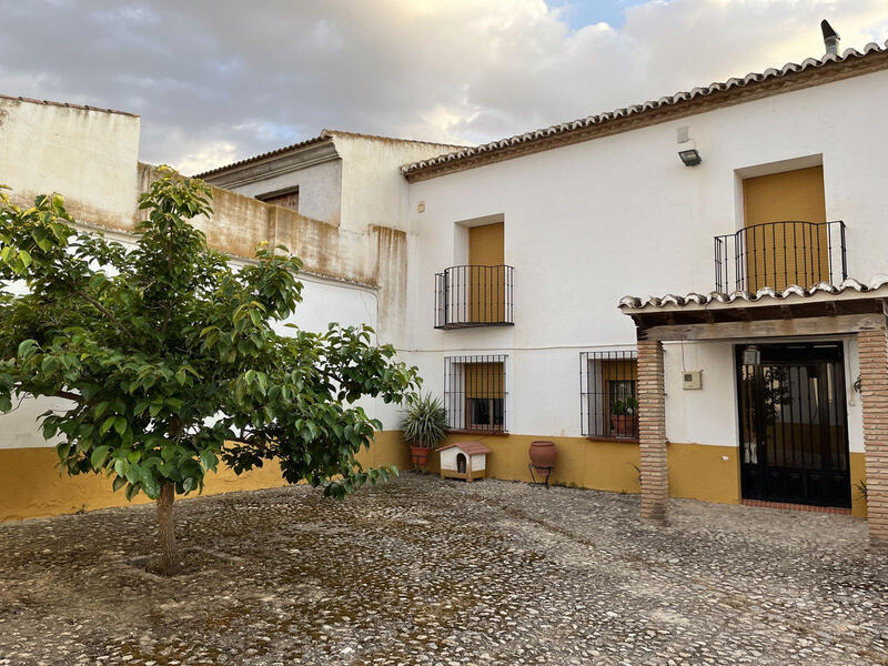 6 Cuarto Local Comercial en venta