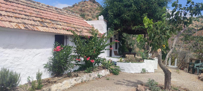 3 chambre Auberge à vendre