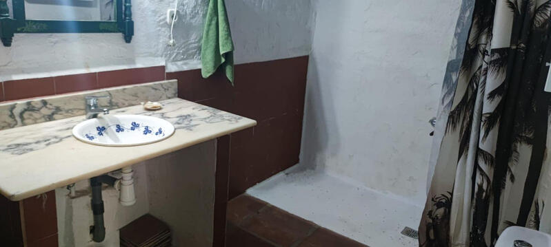 3 chambre Auberge à vendre