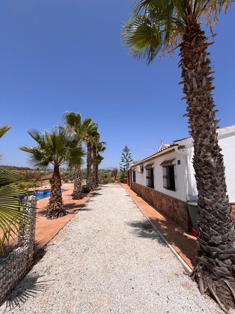 3 chambre Auberge à vendre