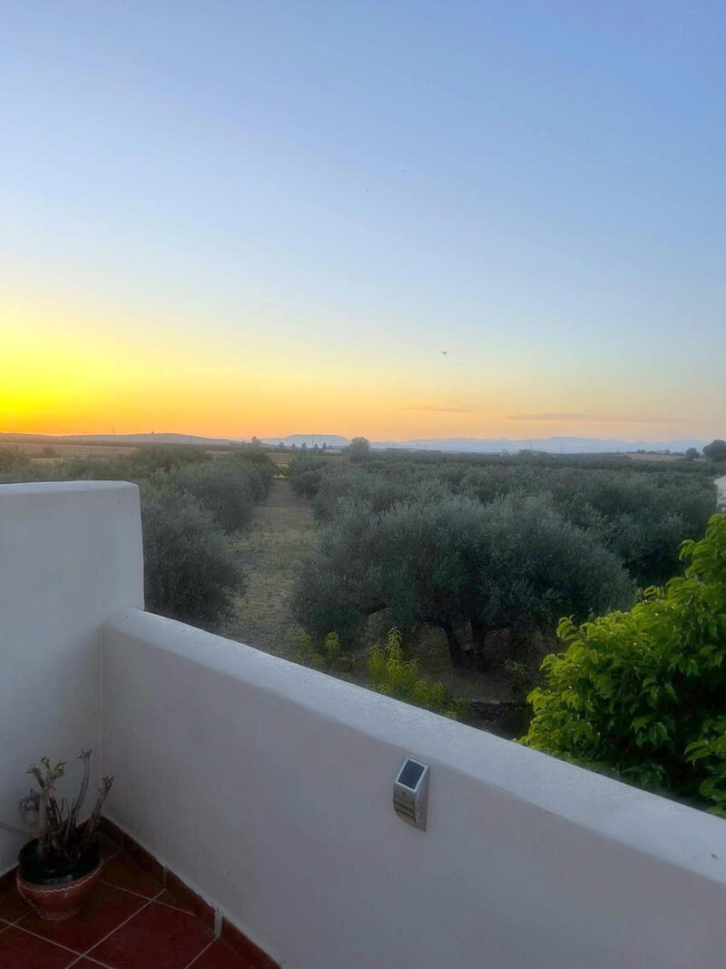 5 спальная комната вилла продается 5 спальная комната вилла продается