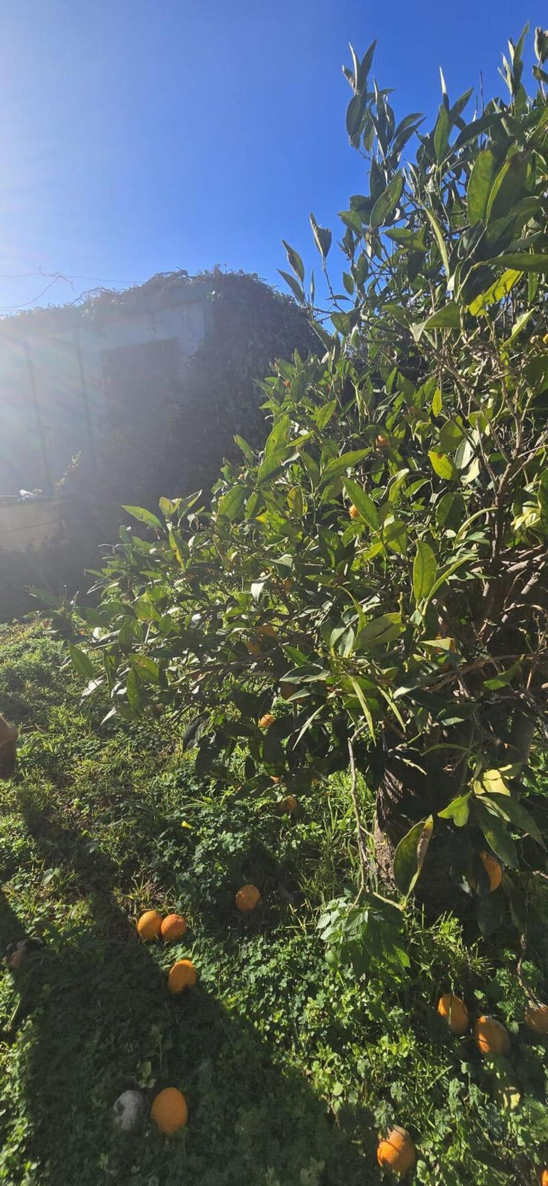 5 bedroom Country House for sale