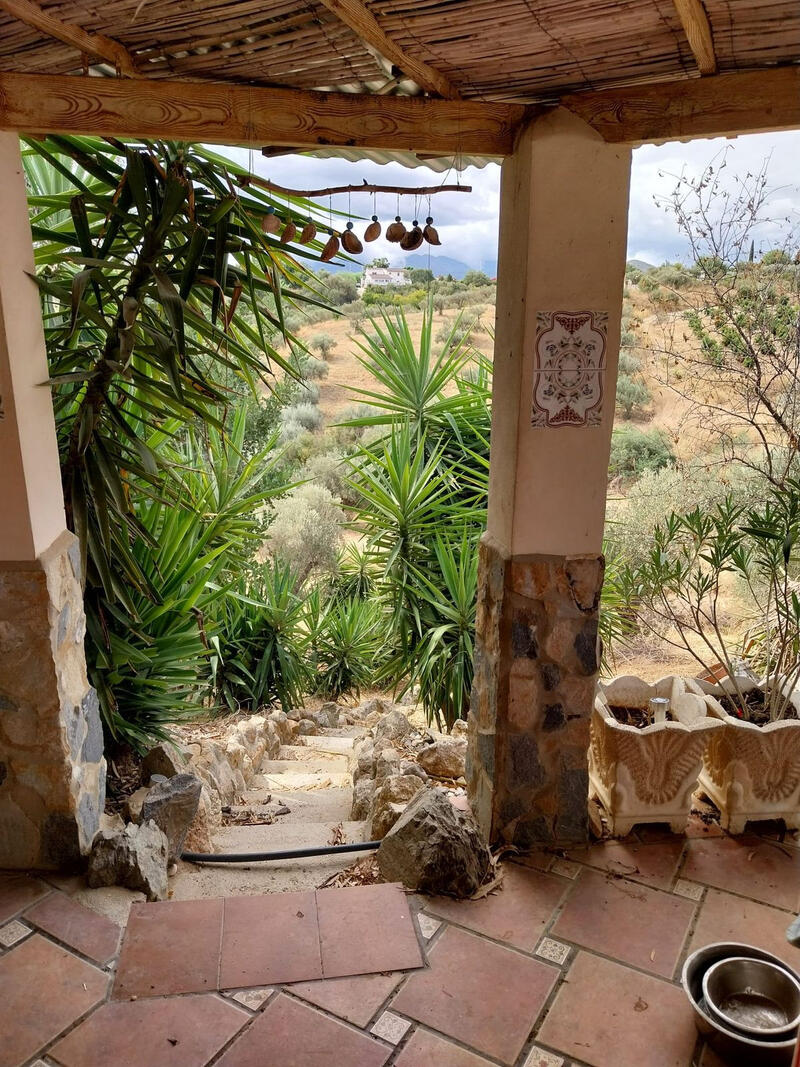 3 Cuarto Casa de Campo en venta