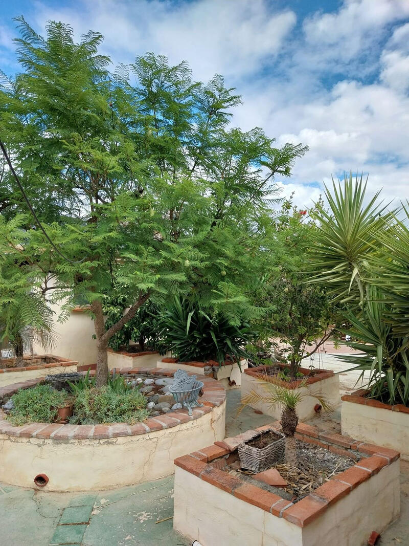 3 Cuarto Casa de Campo en venta