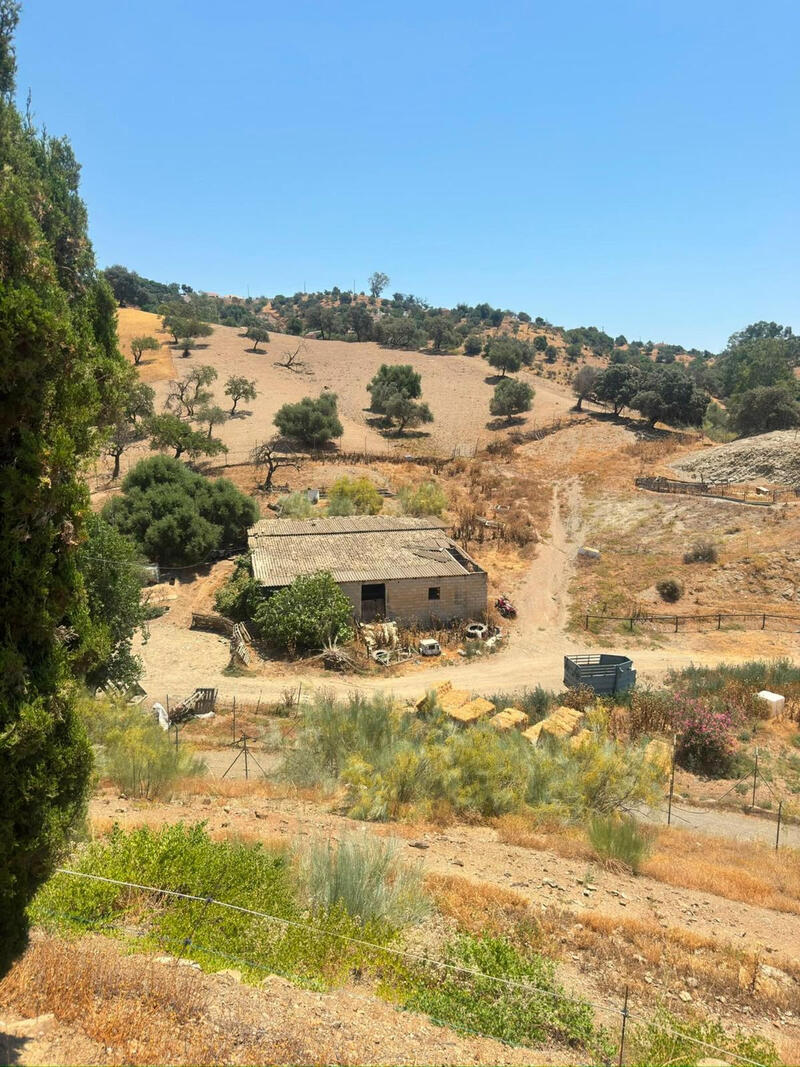 Country House for sale in Gibralgalia, Málaga