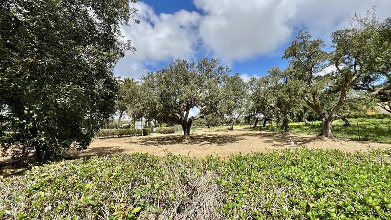 Terrenos en venta