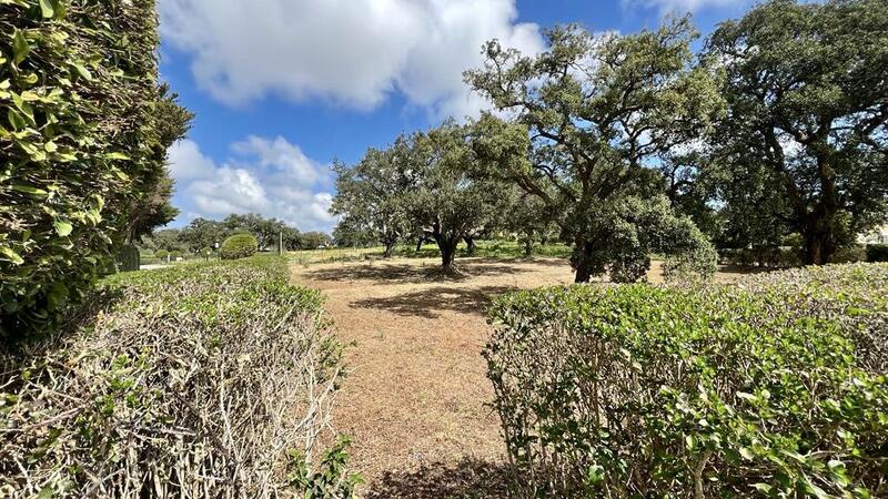 Terrenos en venta