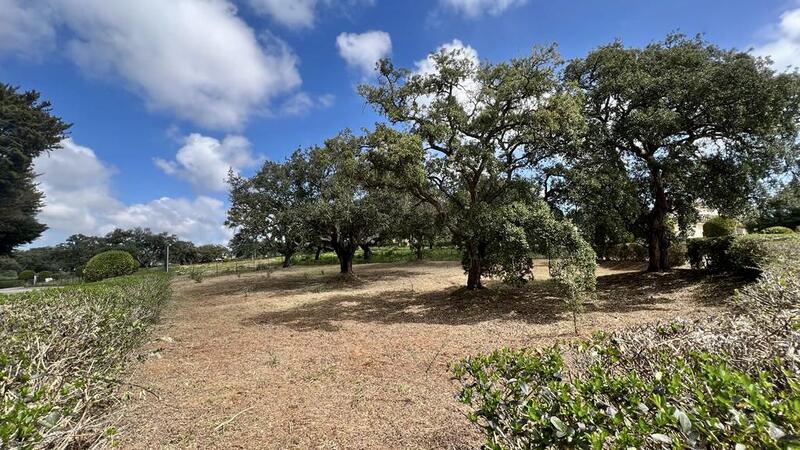 Terrenos en venta