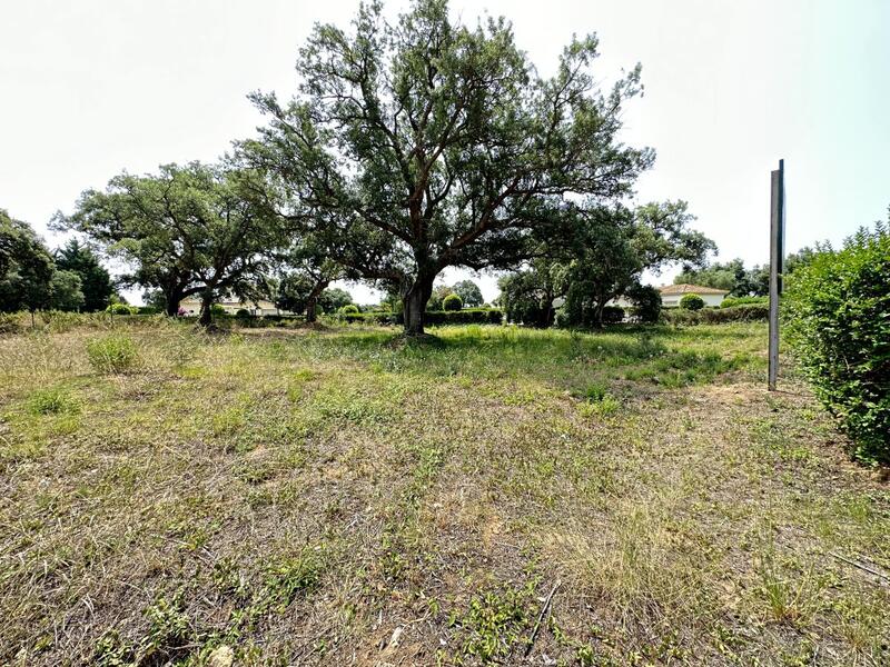 Land for sale