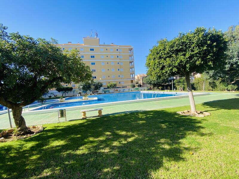 Appartement à vendre dans Torrevieja, Alicante