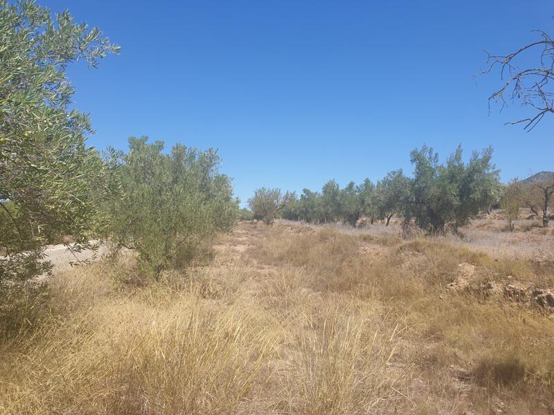 Casa de Campo en venta