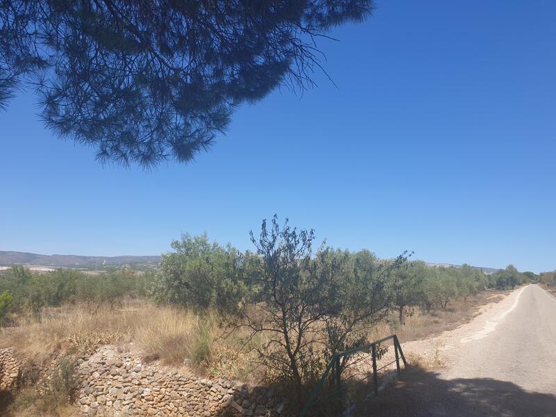 Casa de Campo en venta