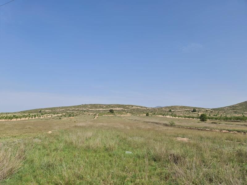 Lantställe till salu i Jumilla, Murcia