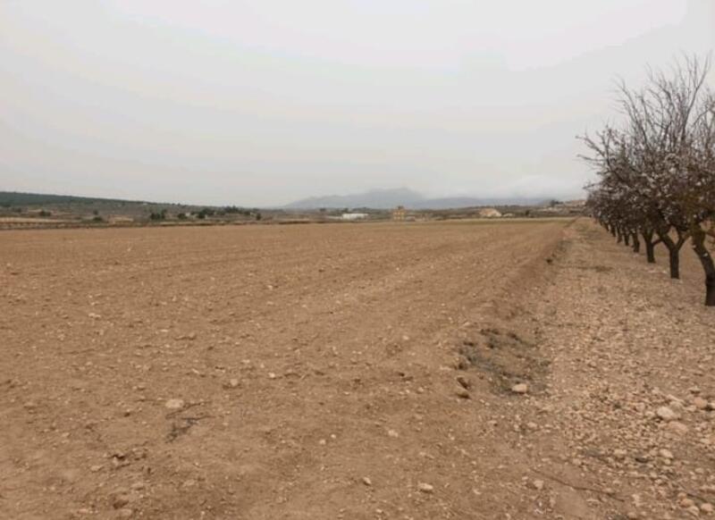 Country House for sale in Pinoso, Alicante