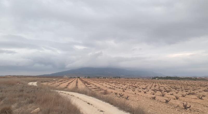 Landhuis Te koop in Pinoso, Alicante