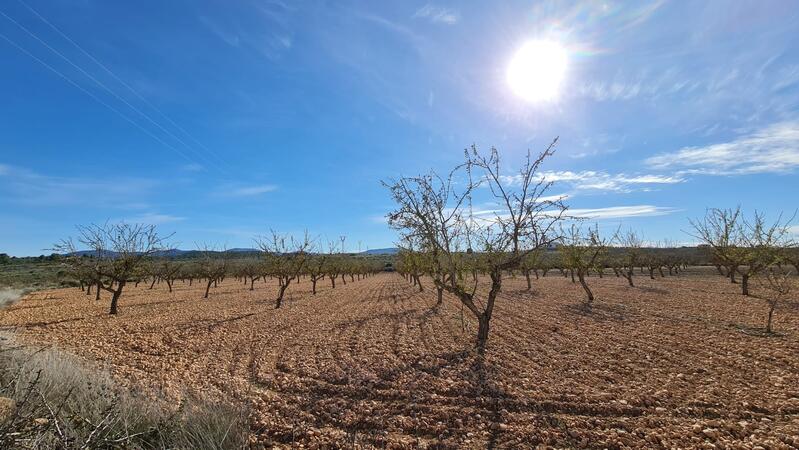 Country House for sale in Pinoso, Alicante