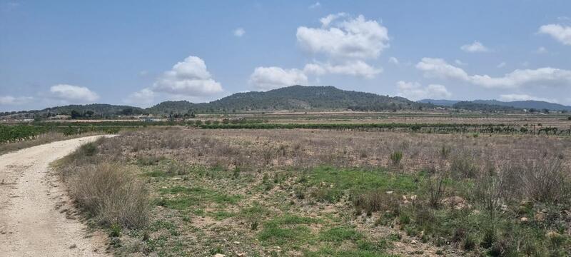 Landsted til salg i Pinoso, Alicante