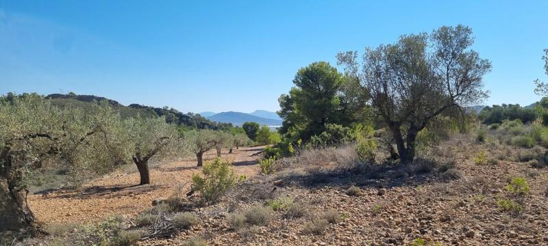 Casa de Campo en venta