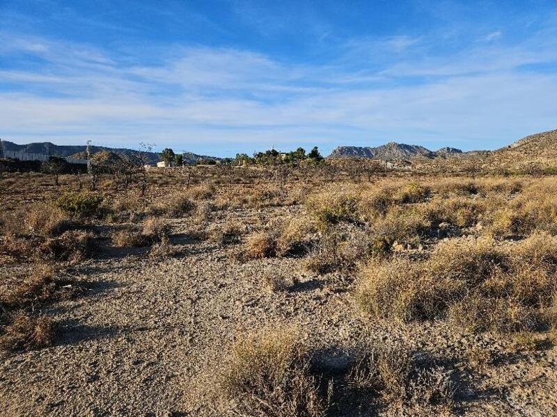 Country House for sale