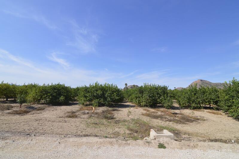 Landsted til salg i Santomera, Murcia