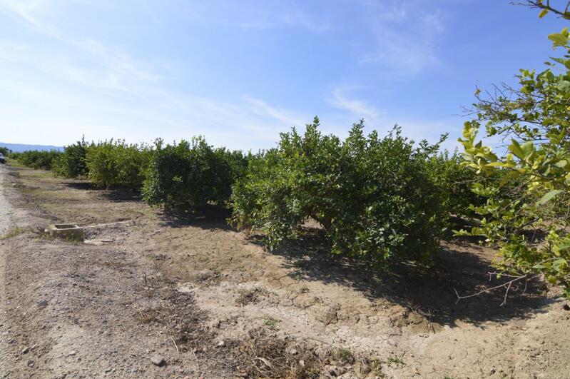 Landsted til salg i Santomera, Murcia