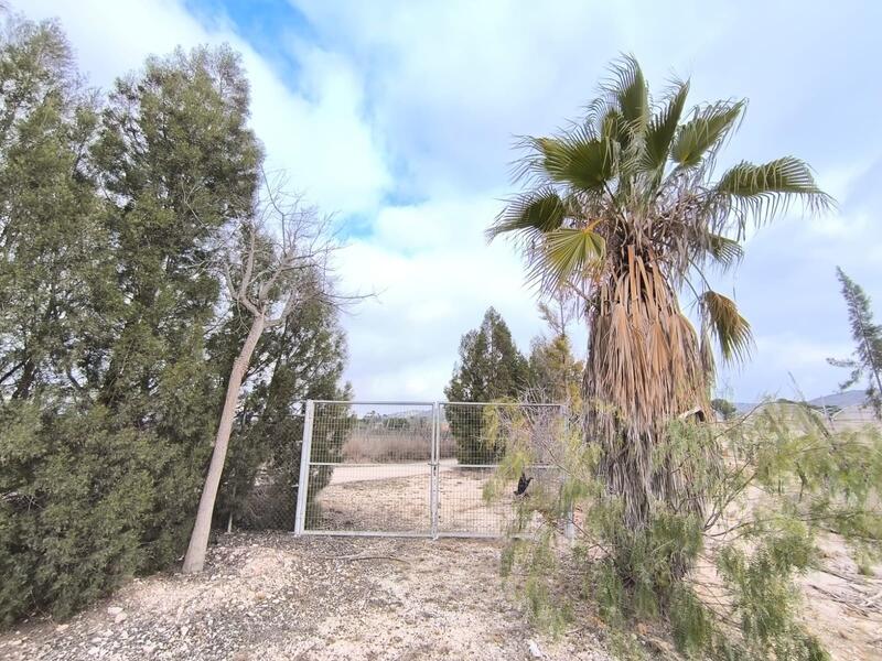 Commercial Property for sale