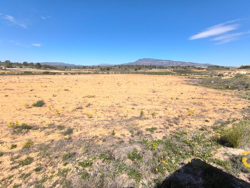 Landhuis Te koop in La Zarza, Murcia