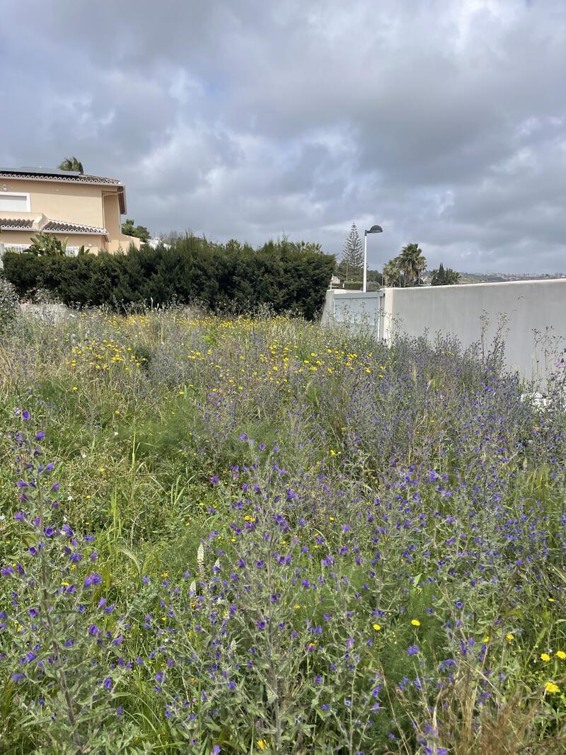 Auberge à vendre