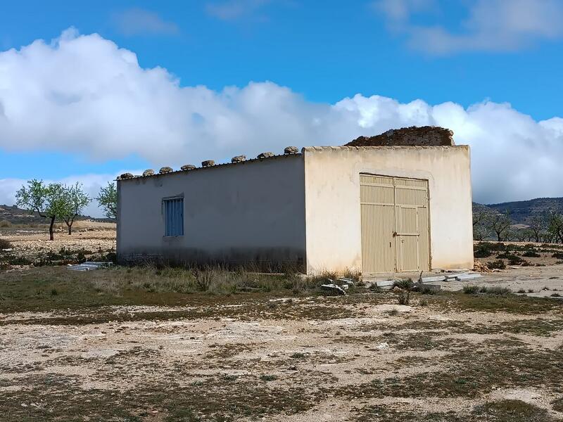 Lantställe till salu i Yecla, Murcia