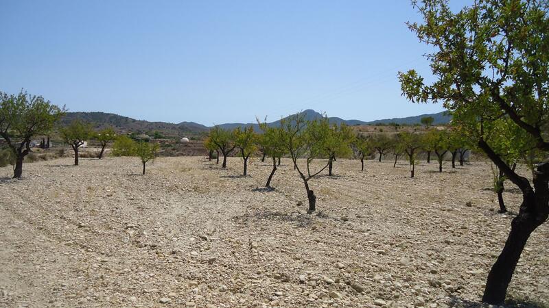 Country House for sale