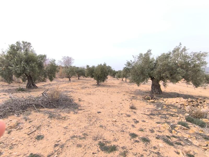Country House for sale