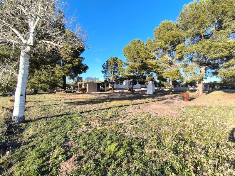 3 Cuarto Villa en venta