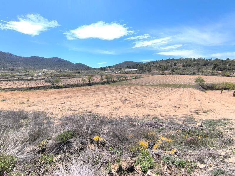 Landhaus zu verkaufen in La Zarza, Murcia