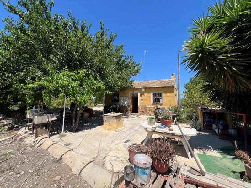 Auberge à vendre dans Daya Nueva, Alicante