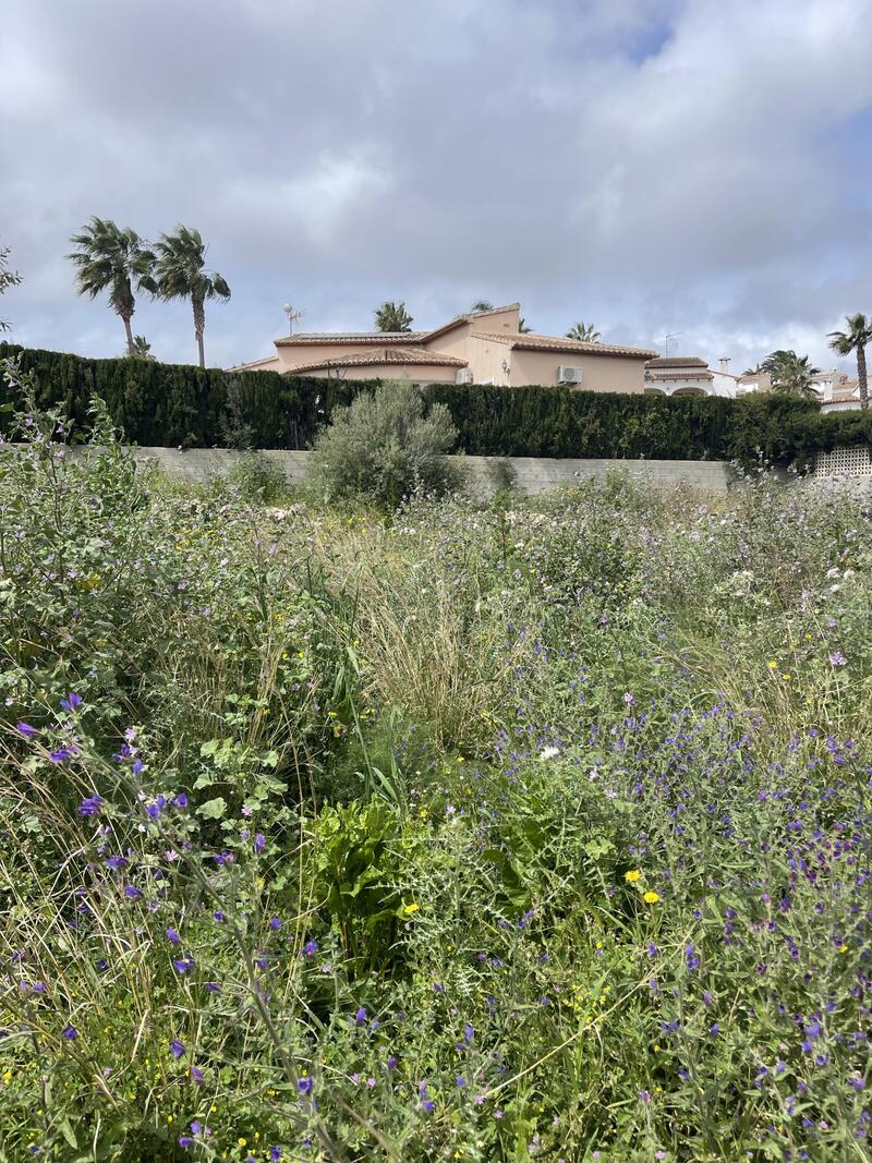 Country House for sale