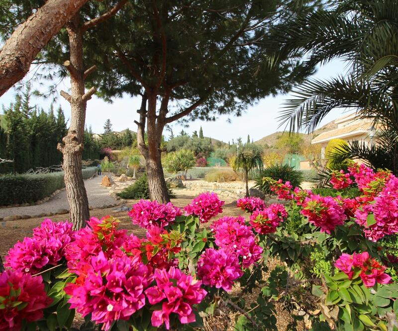 4 bedroom Villa for sale