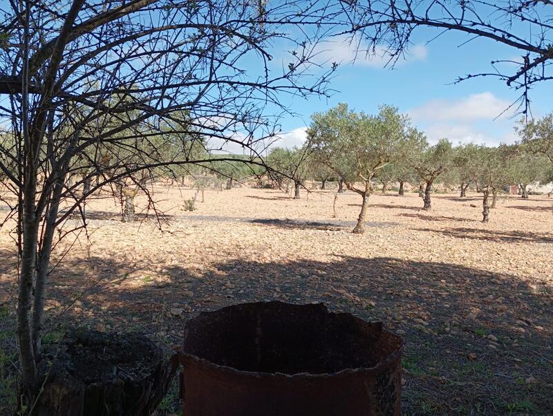 2 bedroom Country House for sale