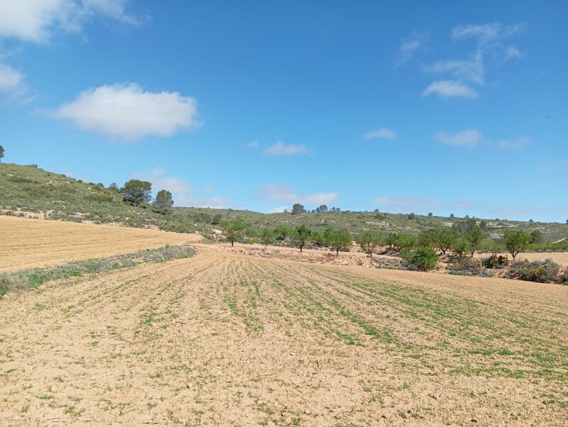 2 bedroom Country House for sale