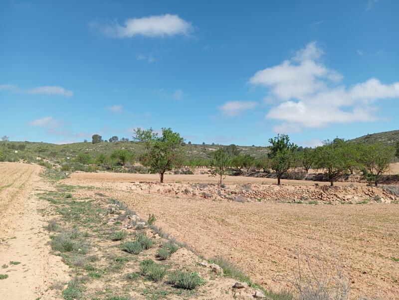 2 bedroom Country House for sale
