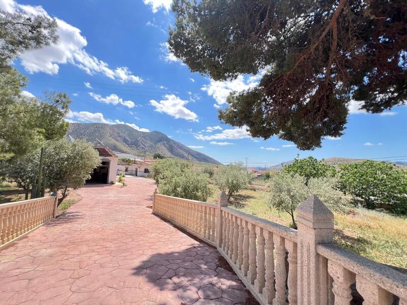 Country House for sale in Algueña, Alicante
