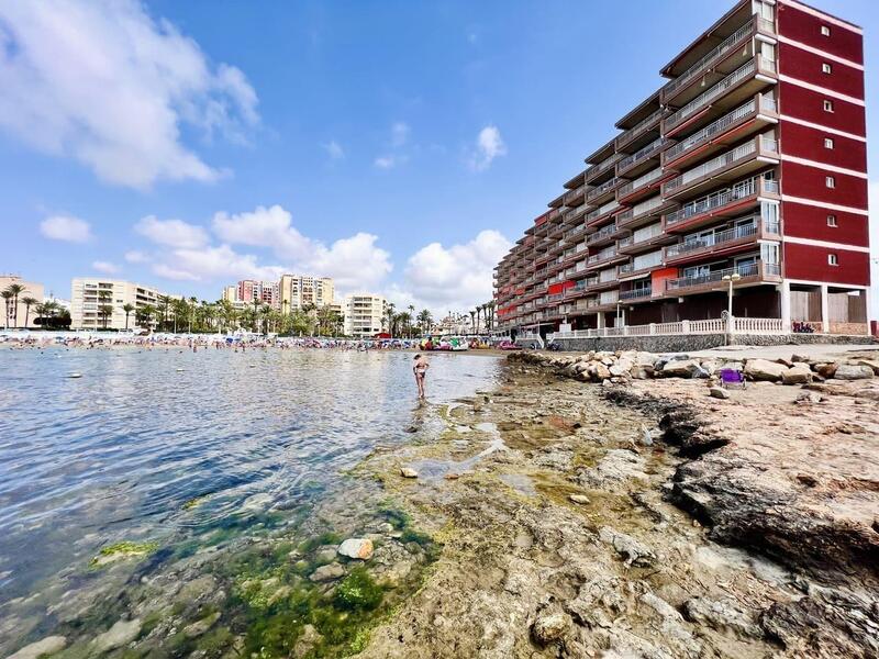 3 Cuarto Apartamento en venta