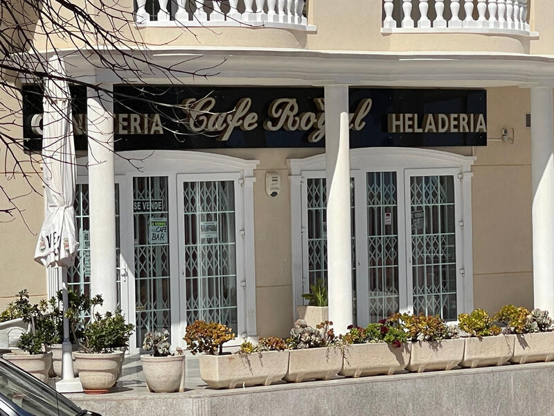 Erhvervsejendom til salg i Guardamar del Segura, Alicante