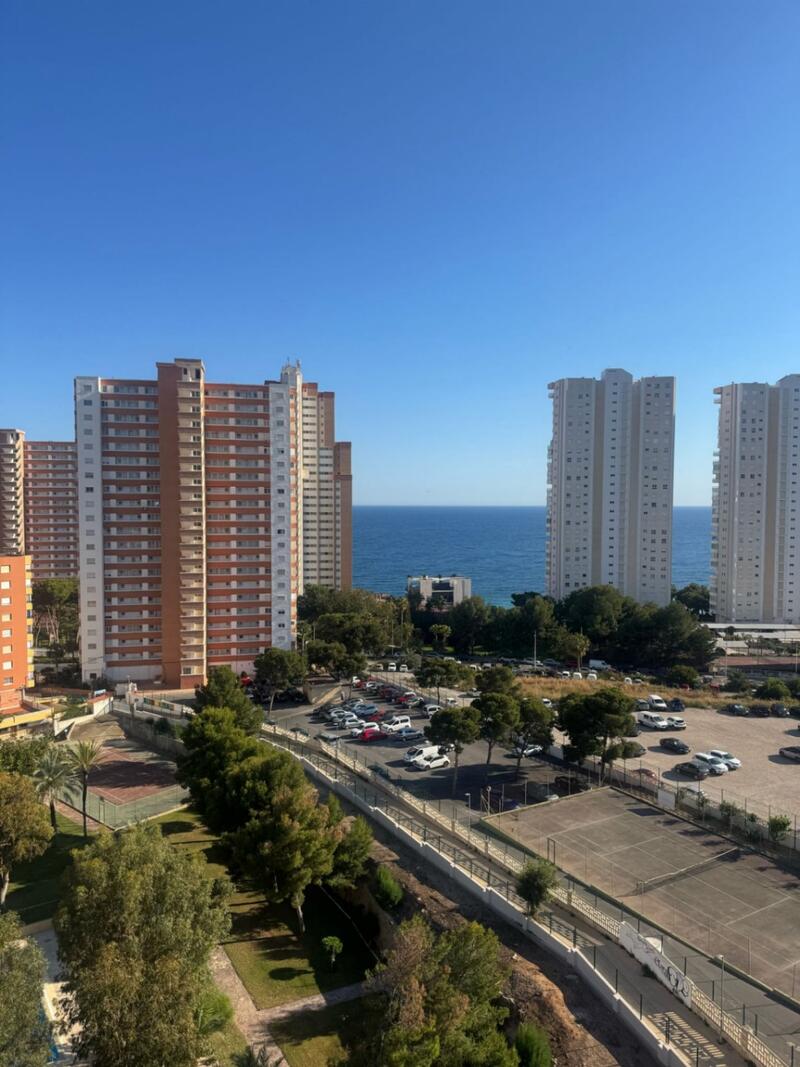 Appartement zu verkaufen in Benidorm, Alicante