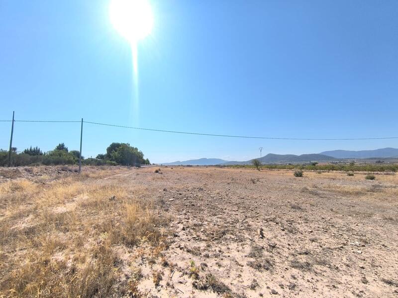 Country House for sale in Pinoso, Alicante