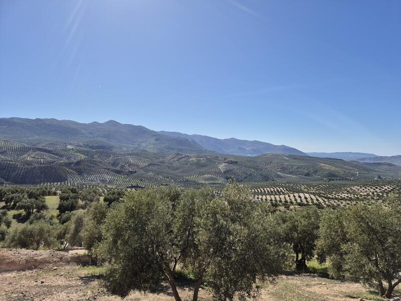 3 bedroom Country House for sale