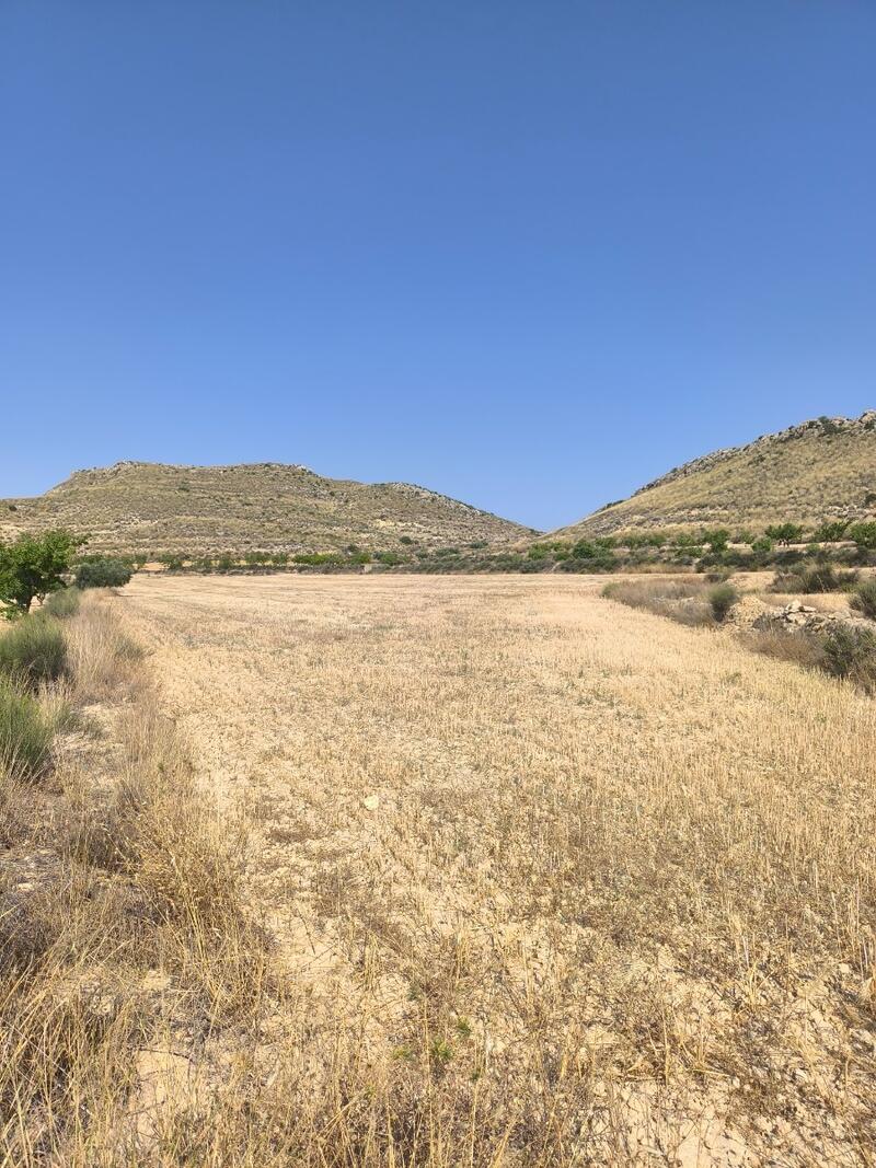 Country House for sale